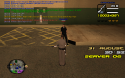 13431_sa-mp-033.