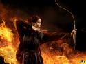 1343_The-Hunger-Games-Catching-Fire-Wallpaper-Download.