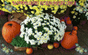 13653_hLqUDZnweYtGkncoyRbl.