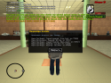 13753_sa-mp-029.