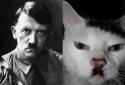 13830_1360987414_hitler-cat2.