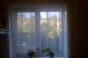 13895_Foto1788.