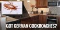 13897_German_Cockroach_Control.