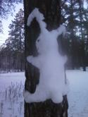 13918_Foto0068.