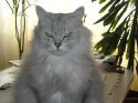 13947_DSCN2994_kop.