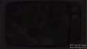 13983_Alex_Ferguson_-_Come_on_Down.
