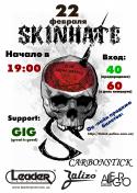 13996_SkinHate.