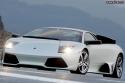 14014_foto-murcielago-lp640_01.