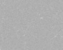 14056_806695234.