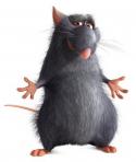 1405ratratatouille.