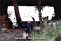 14063_tumblr_mb58ys9RQc1qgd8m1o1_r1_250.