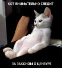 14185_cat.