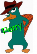 14283_Perry.