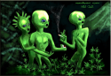 14293_obsh.