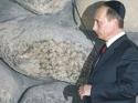 14362_Putin_v_kipe.