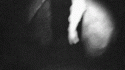 14376_tumblr_m4ymwzhYGJ1qe9g4vo1_500.