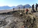 14466_Svalbard.