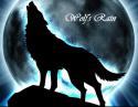 1474wolf_rain.