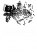 14752_bestchxjik33.