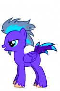 14782_myPony.