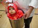 1481funny-baby-costume.