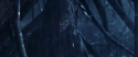 14920_gif.