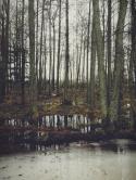15038_tumblr_mt46ncqi7t1stno3ho1_500.