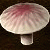 1513_dreadhorntaintedmushroom.