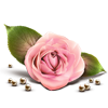 15188_award9.