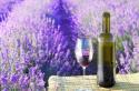 15220_vino.