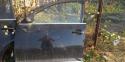 15228_704483calldevanecona154013.