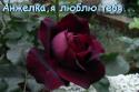 15234_25117276-frederika.