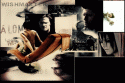 15416_oie_overlay.