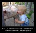 1541Humor_12.