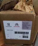 15555_8052235burtmalicoorliona8950366.