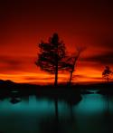 15644_tumblr_kw1xcoz3cv1qa9omho1_500.