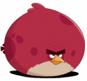 15648_Terence.