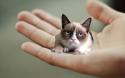 15680_url.