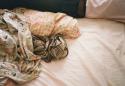 15909_tumblr_m1imhsFecz1qh9ojko1_500.