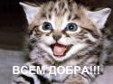 16027_mir-vsem-dobra-dobro-kotyonok-368927.