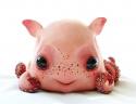 1606baby_dumbo_octopus_by_santani-d3cq01c.