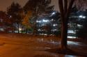 16097_SAM_0007.