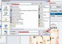 1611torrent_save.