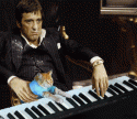 1612piano_cat.