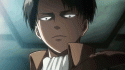 16173_levi.