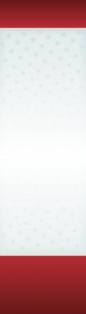16289_xmasbg.