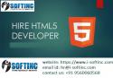 16356_hire-HTML5-Developer-in-Chandigarh.