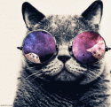 16363_7681369_0_0_cosmic-gif-hippie-hipster-lol-Favim_com-375256_tlog.