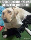 16413_cfvf_ytdgjyzntf.
