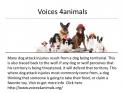 16471_Voices_4animals.